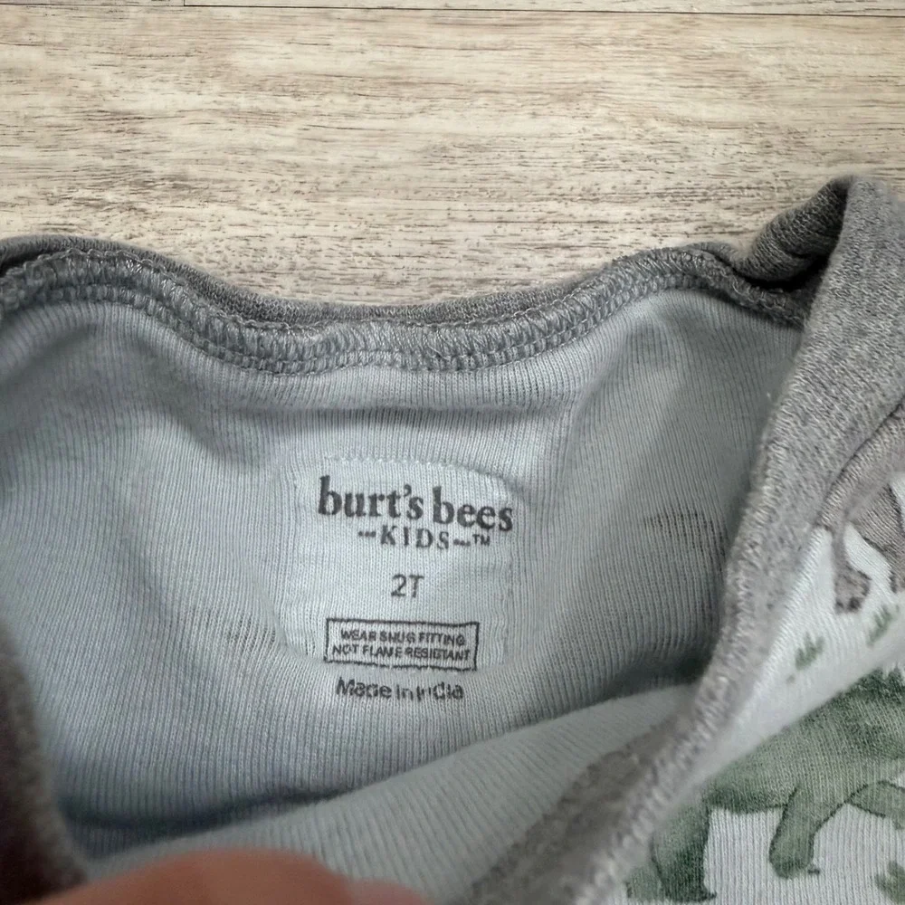 Burt's Bees Kids 2T Pajama Tops Set 2 Dinosaur Chevron Organic Cotton Blue Green